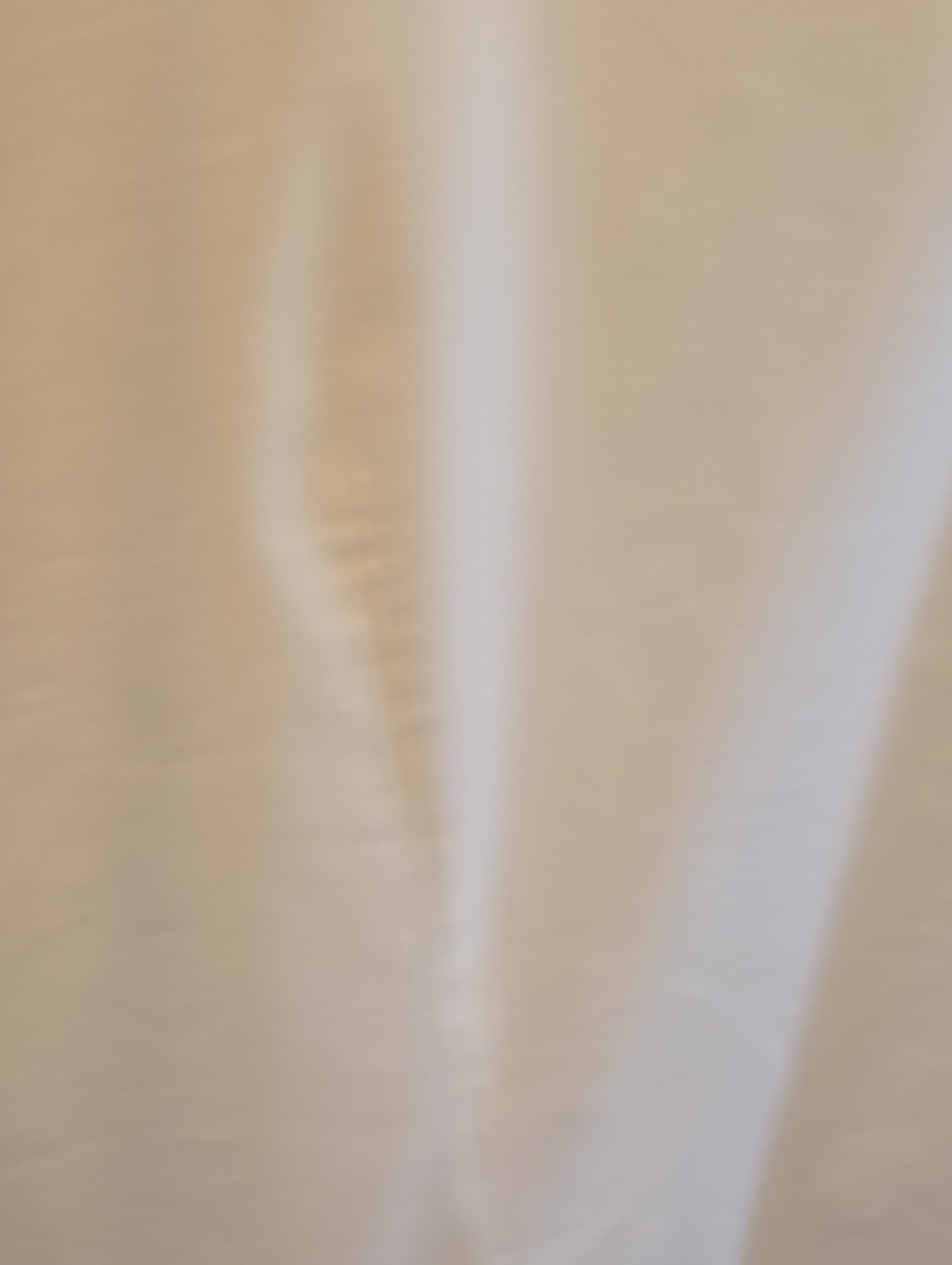LOFT White Ruffle Front Button-Down Top - Picture 11 of 13